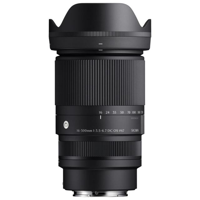 レア 定期43 Fir Audio M5