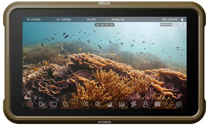 アトモス ATOMNJA004 NINJAATOMOS[ATOMNJA004] 返品種別Aの通販は