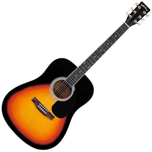 セピアクルー WG-10 VS(S.C) アコースティックギター(ヴィンテージサン ...