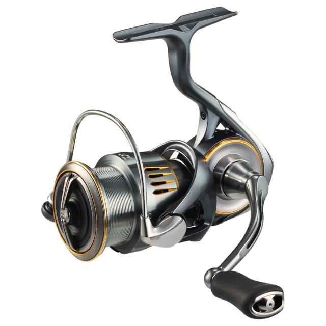 ダイワ(Daiwa) STEEZ AII TW 1000L(スティーズA2TW)左 遣り 00613383