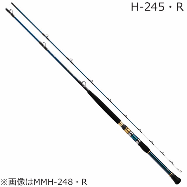 ダイワ 21 ゴウインオトシコミ・R H-245・R 21 ゴウイン落とし込み・R H-245・RDAIWA 船竿 落とし込み[05500650ダイワ] 返品種別A