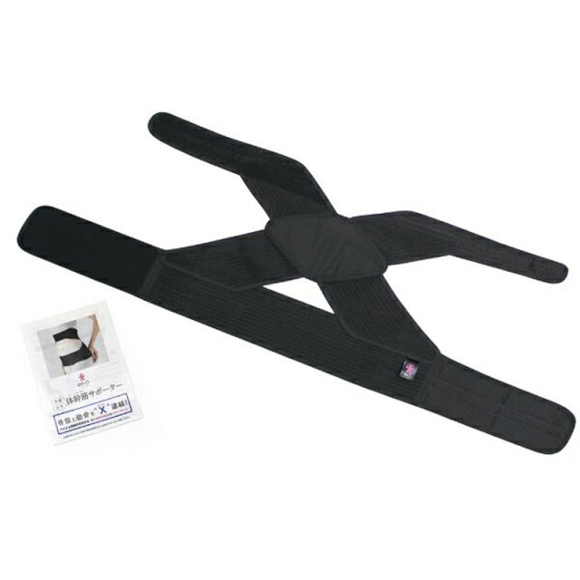 モグ POJIタイカンサポ-タ-シヨ-トS poji骨盤・姿勢・体幹筋サポーター（ショート）　SMOGU[POJIタイカンサポタシヨトS] 返品種別Aの通販は