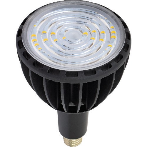 日動工業 L100W-E39J-SBK-50K LED交換球[L100WE39JSBK50K] 返品種別B