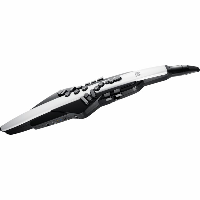 ローランド AE-20 エアロフォンRoland Aerophone[AE20] 返品種別B