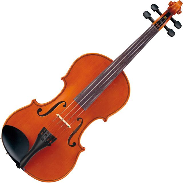 即購入可！未使用品 PIRASTRO EUDOXA バイオリン弦4本セット バイオリン弦 Violin EUDOXA (ｵｲﾄﾞｸｻ) / Pirastro – tonewoods plus