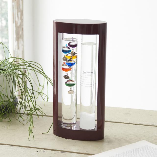 茶谷産業 333-279(チヤタニ) Fun　Science　温度計＆ストームグラス[333279チヤタニ] 返品種別Aの通販は