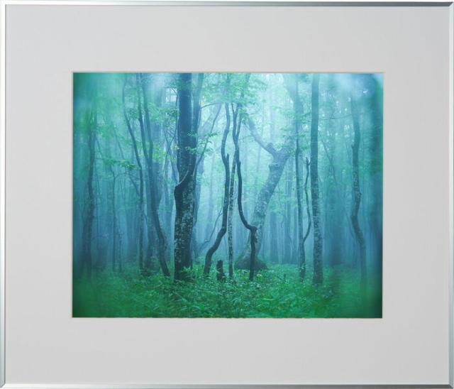 ケンコー AGY-H-SV アルミ額縁 ギャラリー 半切（シルバー）Kenko Tokina[AGYHSV] 返品種別Aの通販は