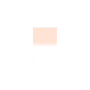 LEE LEE SL-23 100×150mm角 フォトグラフィック樹脂フィルター ハーフカラーグラデーション（コーラルNo.4）[LEESL23] 返品種別Aの通販は