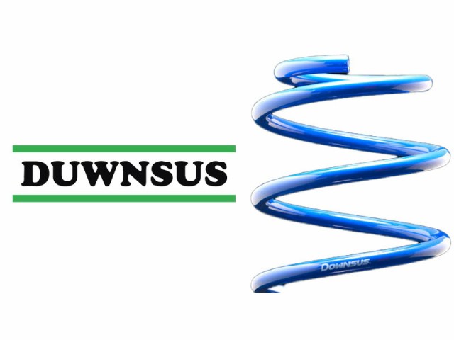 [エスペリア]ZWE214W カローラツーリング_HYBRID S / HYBRID G-X(4WD 1.8L_R1/10〜)用ダウンサス[車検対応]の通販は