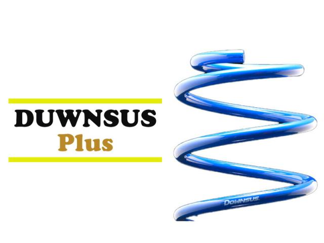 [エスペリア]ZWE214W カローラツーリング_HYBRID WxB(4WD 1.8L_R1/10〜)用ダウンサスプラス[車検対応]の通販は