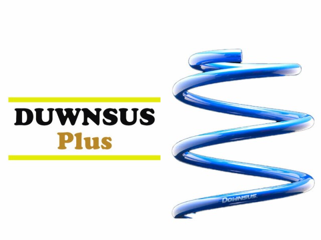 [エスペリア]ZRR80W ヴォクシー_フロント_ ZS / ZS煌(2WD 2.0L_H26/1〜H29/6)用ダウンサスプラス[車検対応]の通販は