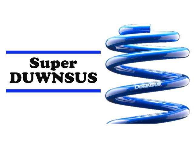 [エスペリア]NRE161G カローラフィールダー_1.5G / 1.5G WxB / 1.5X(2WD 1.5L CVT車_H29/10〜R1/8)用スーパーダウンサス[車検対応]の通販は