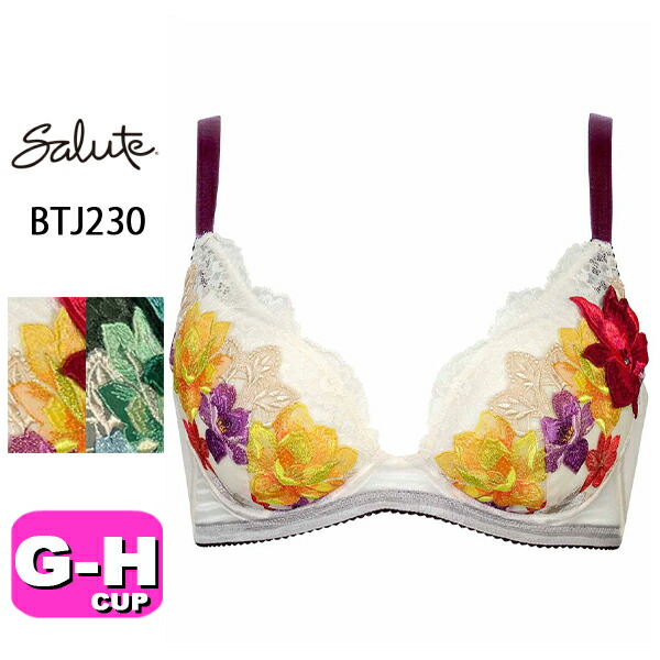 サルート salute 30 ワコール wacoal BTJ230 ブラジャー 小さく見せるブラ フルカップ GHカップ