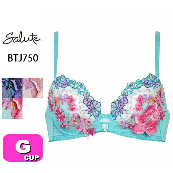 サルート salute 50 ワコール wacoal BTJ750 ブラジャー 3/4カップ リボンブラ Gカップ