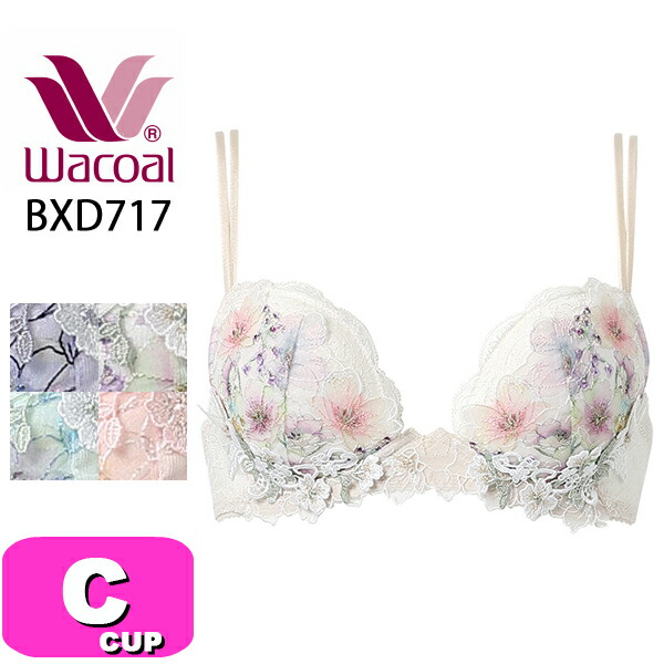 ワコール プレミアム 14シリーズ C75 ブラジャー パーソナル