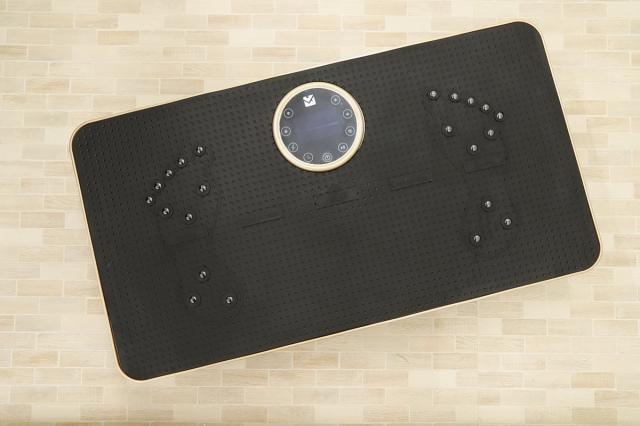 送料無料】倉庫保管品 スタイリッシュジャパン スリミング 振動