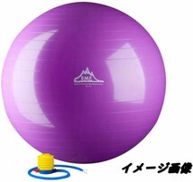 【送料無料】展示品 Black Mountain Products 2000ポンド 静的強度 エクササイズ安定ボール ポンプ付き 75cmパープル bIア1の通販は