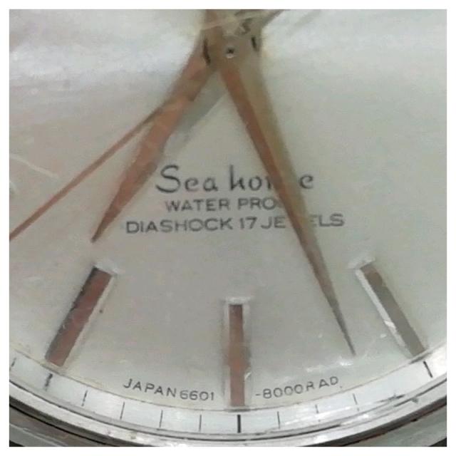 【中古】セイコー シーホース 6601-8000 タツノオトシゴ刻印 メンズ 自動巻き_7