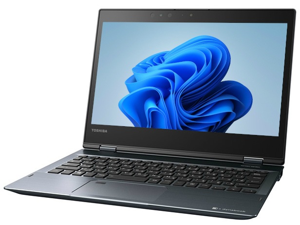 モンステラ53 斑入　マスターピース　デリシオーサ　葉付き発根済み　限定株 モンステラ53 斑入 マスターピース デリシオーサ 葉付き発根済み 限定株