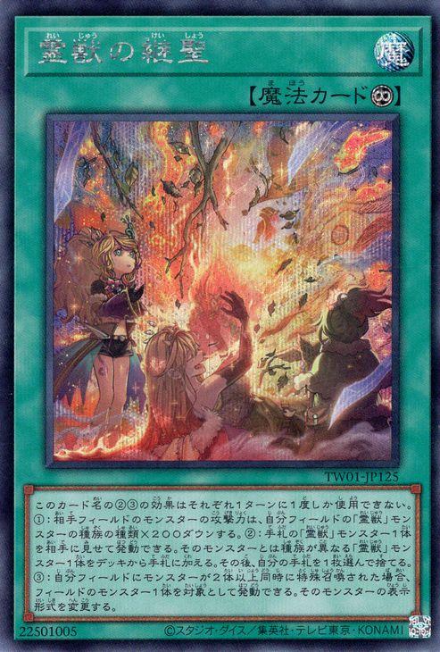 遊戯王 TERMINAL WORLD ターミナル・ワールド シュリンク付6BOX 遊戯王