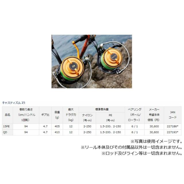 ダイワ 19キャスティズム 25 15PE / 投げ釣り 投げ専用リール ATD_2