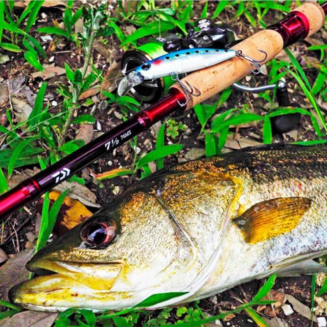 ダイワ(Daiwa) 7 1/2 （セブンハーフ）76ULS-S 【釣具 釣り具】の通販