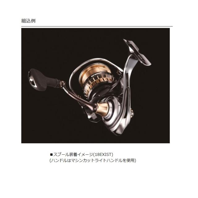 ダイワ SLPW EX LTスプール 5000D 【釣具 釣り具】 ダイワ SLPW EX LTスプール 5000D 【釣具 釣り具】