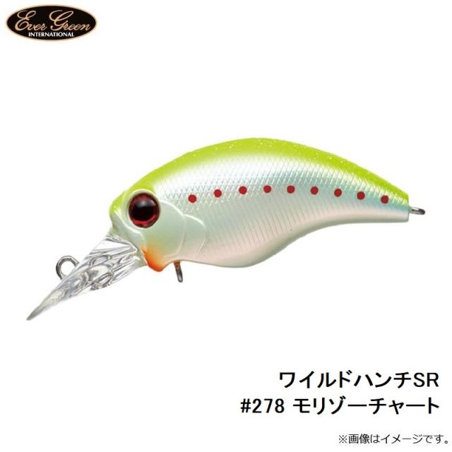 美品】EVERGREEN MODO WILD HUNCH SR 6セット モード（EverGreen