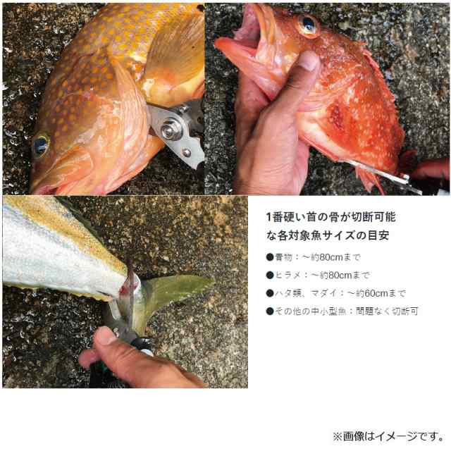 へらぶな専門店 松岡釣具 MFC ONLINE SHOP へら竿 へら鮒釣具多数！