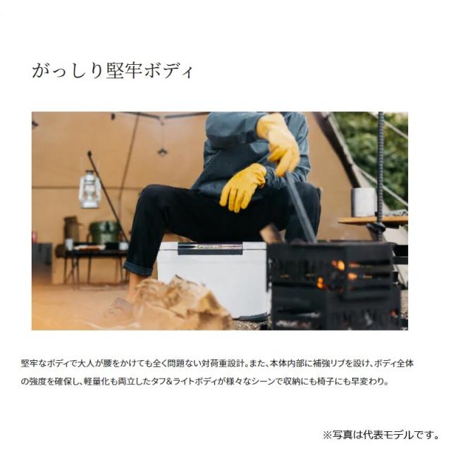 シマノ シマノ　NF-322V フィクセル ベイシス 22L ベージュ　クーラーボックス　釣り_5