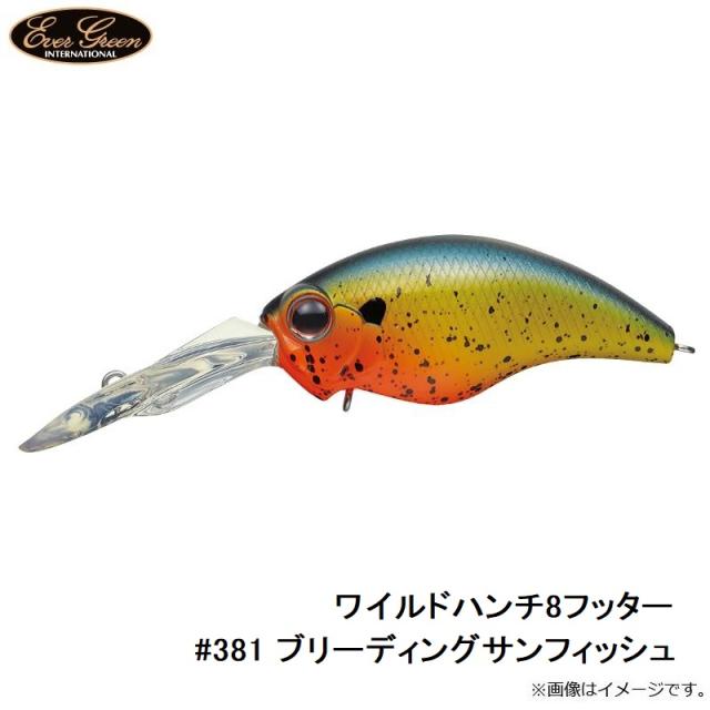 エバーグリーン ワイルドハンチ8フッター 381 ブリーディングサンフィッシュ 釣具 釣り具 の通販はau Pay マーケット 釣具のfto フィッシングタックルオンライン
