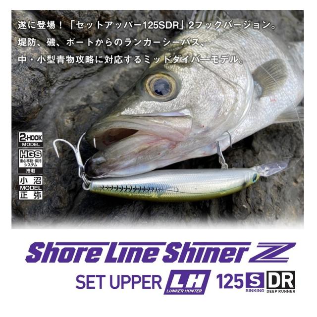 DAIWA多数　磯釣りセット DAIWA多数磯釣りセット
