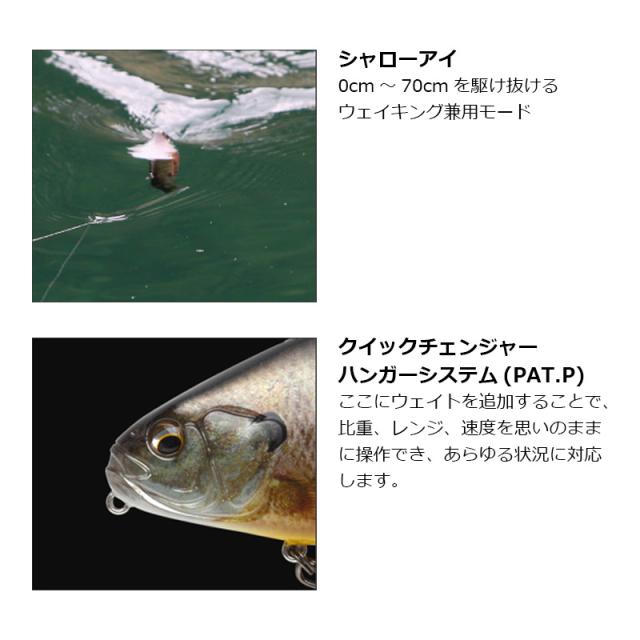 タナゴf タナゴf