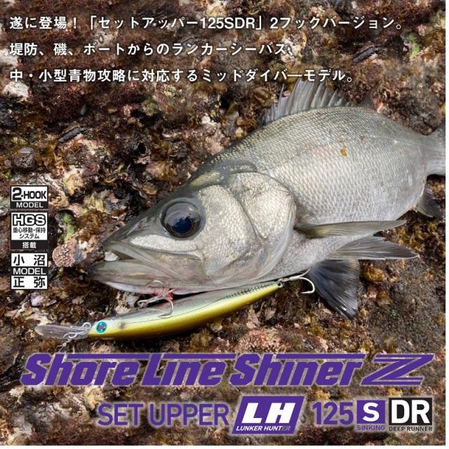 ダイワ ショアラインシャイナーZ セットアッパーLH 125SDR ラトリン