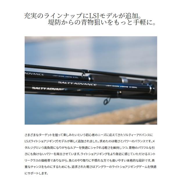 シマノ 19ソルティーアドバンス チニング S76ML / チニング チヌ