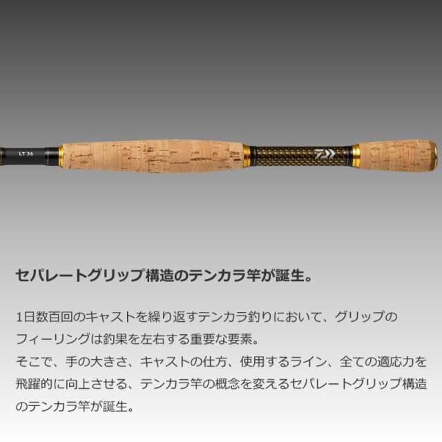 ダイワ エキスパート テンカラ LT 36 【釣具 釣り具】
