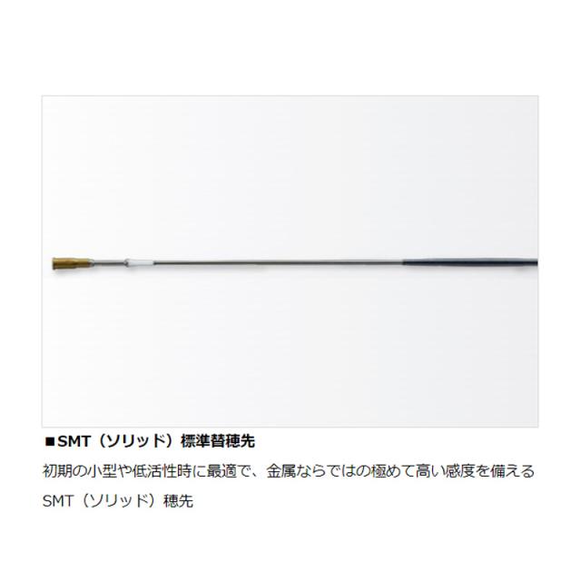 ダイワ 銀影競技 SHORTLIMITED T 80M【大型2】の通販はau PAY