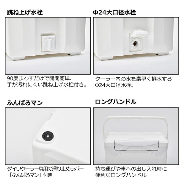 ダイワ プロバイザーREX ZSS2200 ゴールド 【釣具 釣り具】 極上