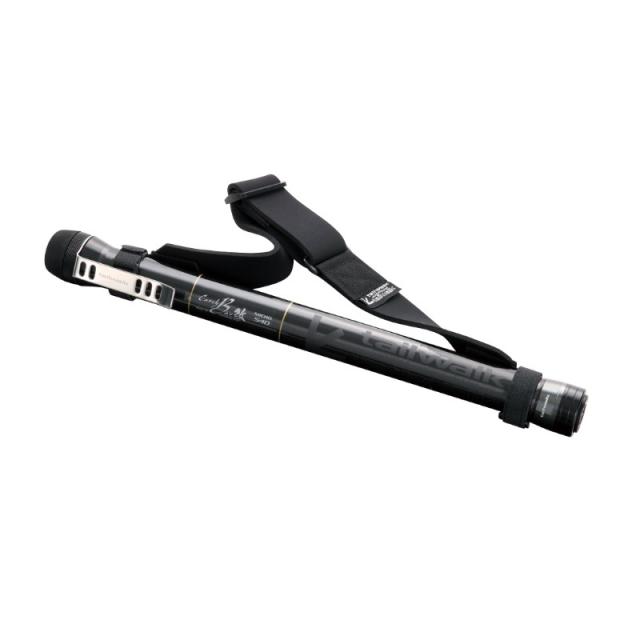 エイテック キャッチバー改 マイクロ 420