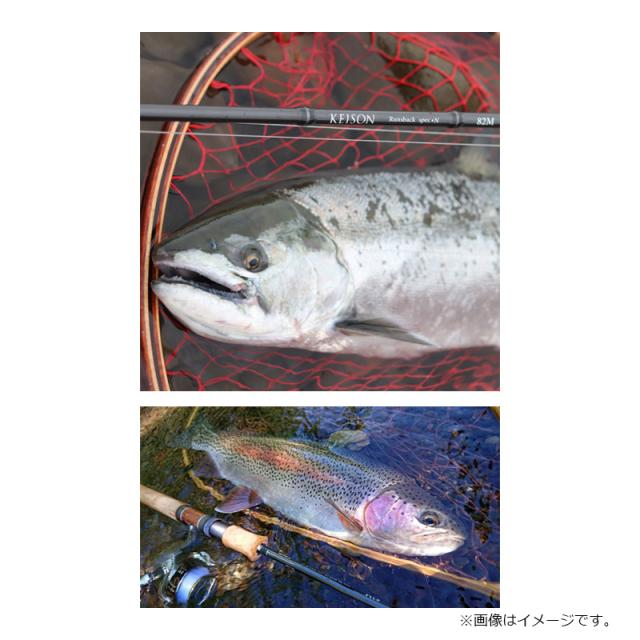 エイテック ケイソンランズバック SPEC-N 56MLの通販はau PAY