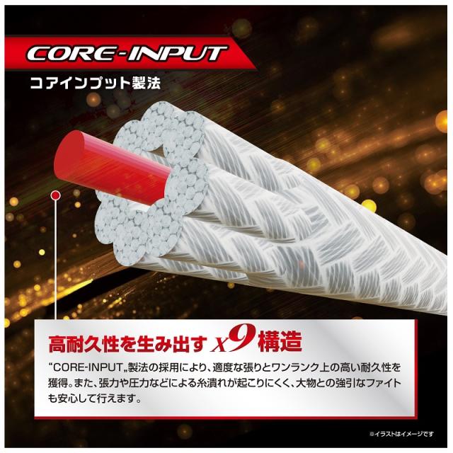 バリバス アバニジギング10×10マックスパワーPE X9 300m 2号