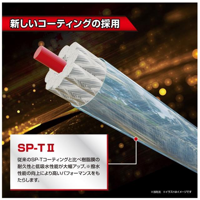 バリバス アバニジギング10×10マックスパワーPE X9 300m 2号