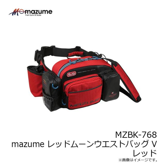 タックルバッグ 釣武者 キャメックス ナインエースロイヤルII M ブルー