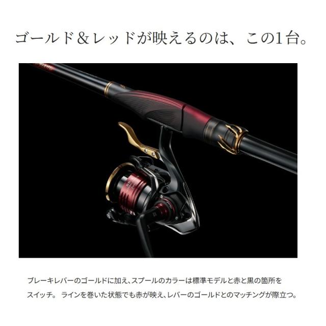シマノ 25 BB-X ハイパーフォース C3000DXXGS R / 磯 レバー リール 右