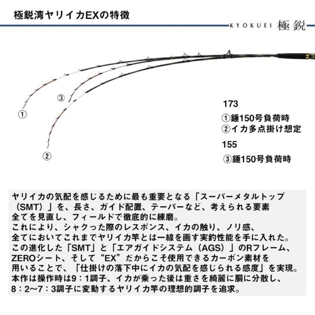 ダイワ 極鋭ヤリイカ EX 173・J