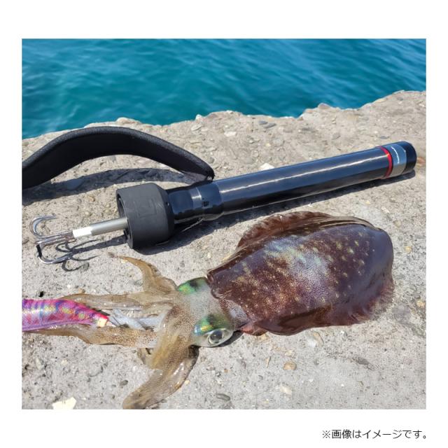 エイテック キャッチバー改 イカギャフ スーパーマイクロ 410/CARBON BLACK_4