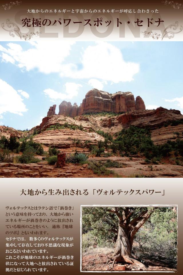 パワーストーンブレス パワーストーン ブレスレット　レディース　メンズ　天然石 ミャンマー産 天然黒翡翠 ジェイド ジェード 【勝負事】【仕事運】【健康運】【人間関係運】【家庭運】【厄除け】【合格祈願】ブレス アクセサリー アクセ 開運 2026_4
