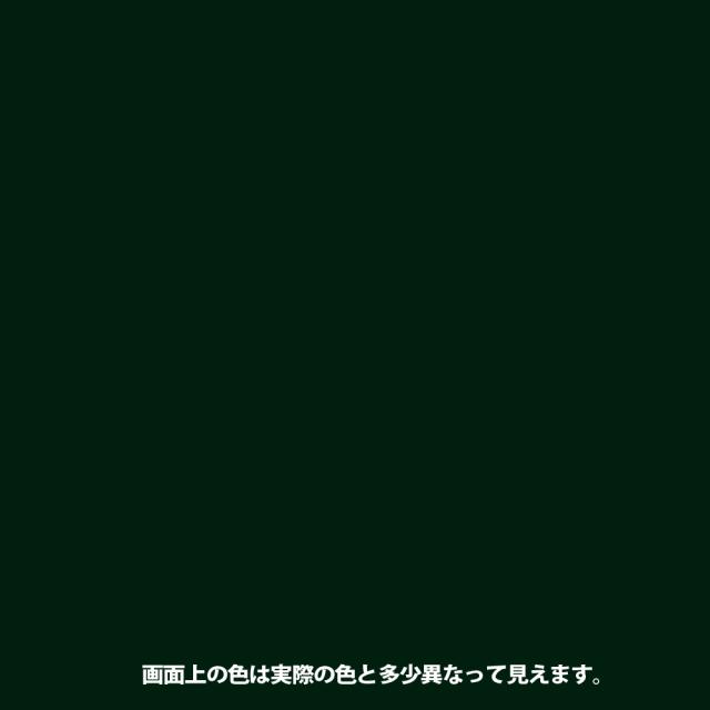 カンペハピオ 油性トタン用 ニューフレッシュグリーン 14L_1