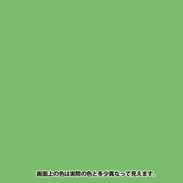 カンペハピオ 水性コンクリートフロア用 フレッシュグリーン 14Ｋ_1