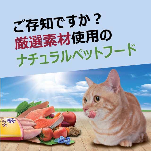 ウェルネス キャットフード 体重管理猫用 1歳以上 800ｇ 当社専売品の通販はau Pay マーケット アークランドオンライン Au Pay マーケット店